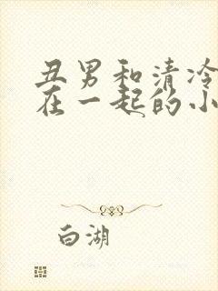 丑男和清冷美人在一起的小说封面