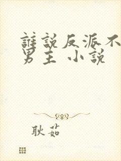 谁说反派不能当男主 小说