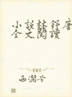 小说林舒唐亦琛全文阅读