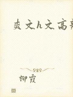 爽文h文高辣h