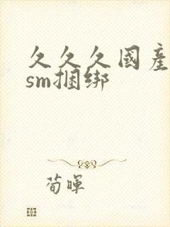 久久久国产调教sm捆绑