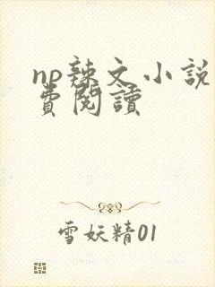 np辣文小说免费阅读