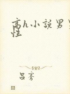 高h小说男男双性