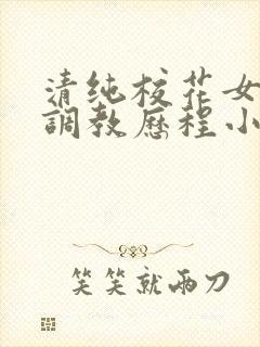 清纯校花女友的调教历程小说