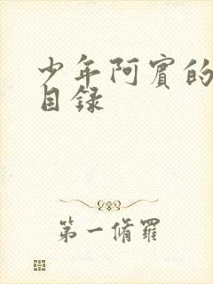 少年阿宾的故事目录