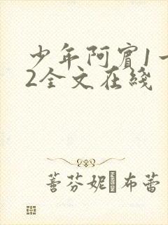 少年阿宾1一72全文在线封面