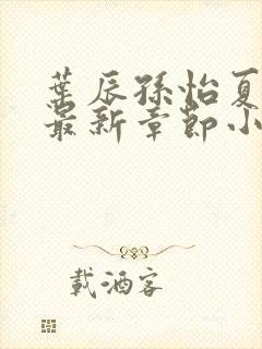 叶辰孙怡夏若雪最新章节小说心