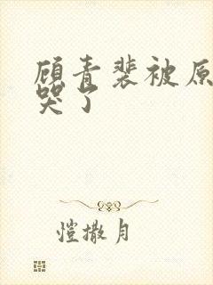 顾青裴被原炀凶哭了