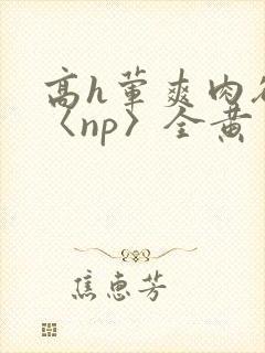 高h荤爽肉欲文〈np〉全黄