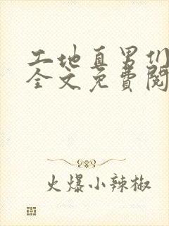 工地直男们小说全文免费阅读封面