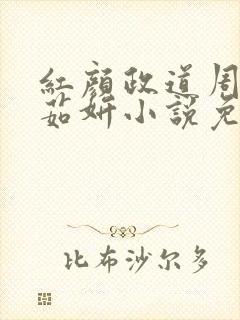 红颜政道周平丁茹妍小说免费阅读