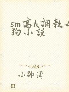 sm高h调教母狗小说