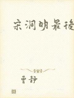 宋洞明最后结局封面