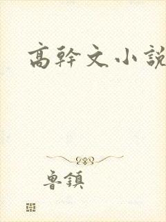 高干文小说肉h封面