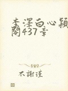 李泽白心颖笔趣阁437章封面