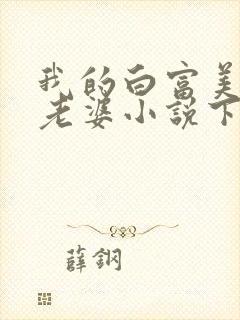 我的白富美总裁老婆小说下载