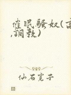 催眠骚奴(高h,调教)