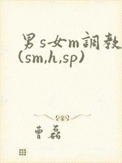 男s女m调教文(sm,h,sp)