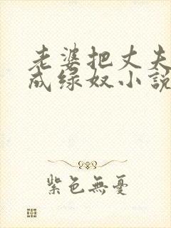 老婆把丈夫调教成绿奴小说封面