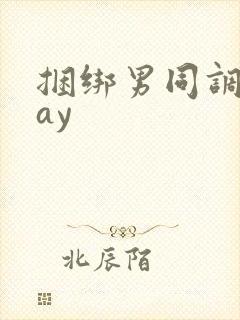 捆绑男同调教gay封面