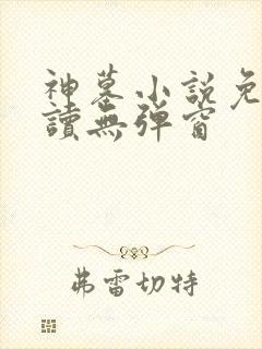 神墓小说免费阅读无弹窗
