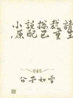 小说总裁请勿扰,原配已重生免费阅读