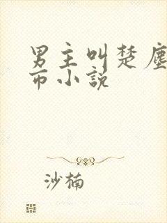 男主叫楚尘的都市小说封面