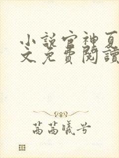 小说官神夏想全文免费阅读完整版