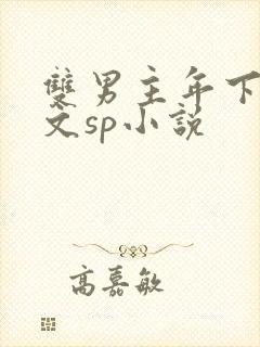 双男主年下训诫文sp小说封面