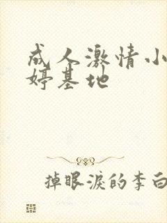 成人激情小说婷婷基地