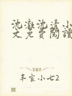 沈澈沈清小说全文免费阅读最新章节封面