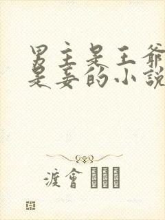 男主是王爷女主是妾的小说封面