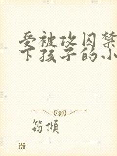 受被攻囚禁并生下孩子的小说