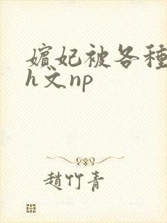 嫔妃被各种调教h文np