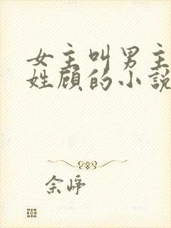 女主叫男主叔叔姓顾的小说