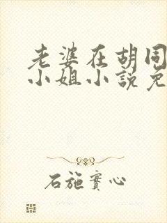 老婆在胡同里扮小姐小说免费阅读