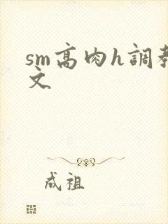 sm高肉h调教文封面