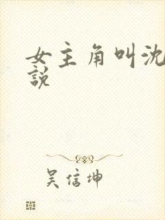 女主角叫沈芙小说