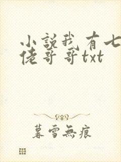 小说我有七个大佬哥哥txt封面