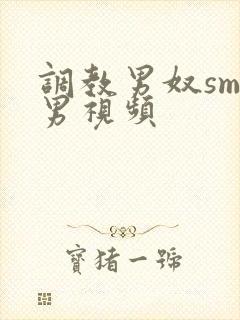 调教男奴sm男男视频