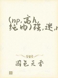 (np,高h,纯肉)强,迷,np封面