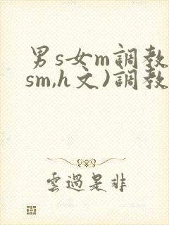男s女m调教(sm,h文)调教小乳