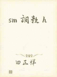 sm 调教 h
