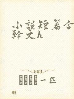 小说短篇合集高干文h