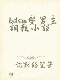 bdsm双男主调教小说