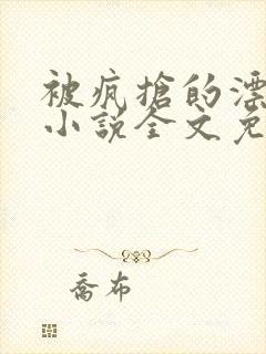 被疯抢的漂亮攻小说全文免费阅读无弹窗