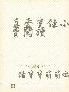 真香实录小说免费阅读