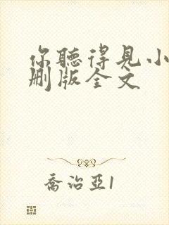 你听得见小说未删版全文