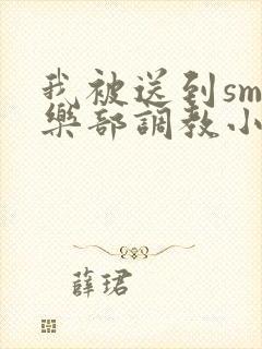 我被送到sm俱乐部调教小说封面