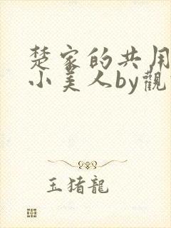 楚家的共用双性小美人by观于海者